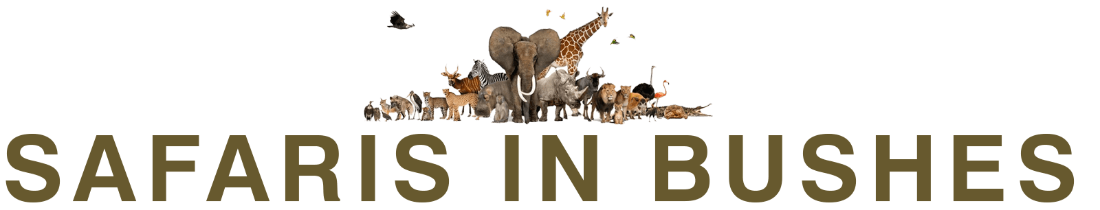 Safaris in Bushes